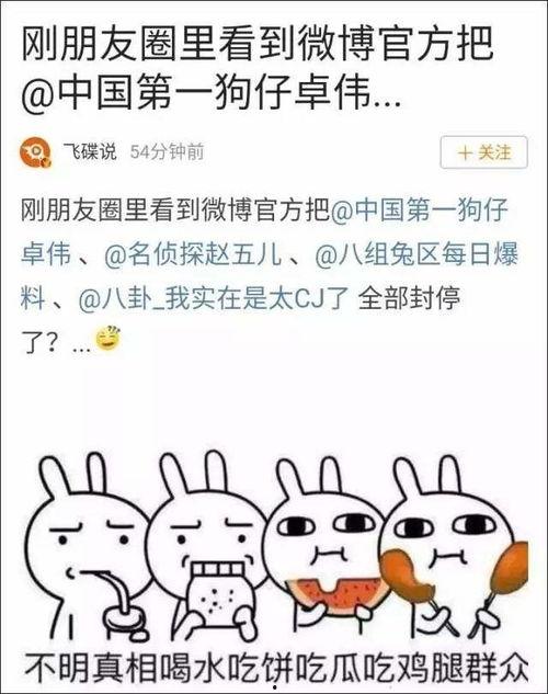 娱乐吃瓜君来找你,娱乐圈幕后真相大曝光！